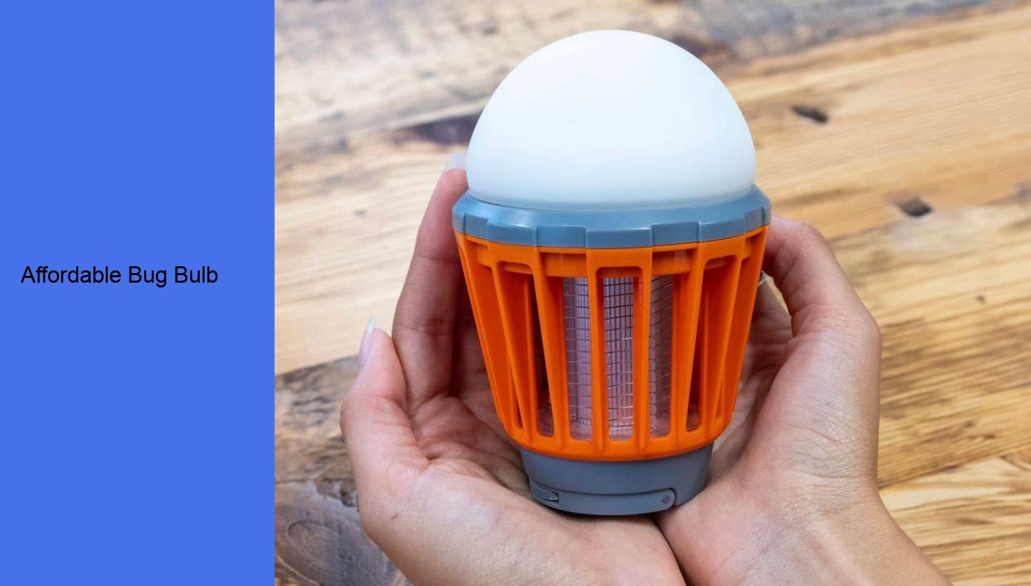 Affordable Bug Bulb