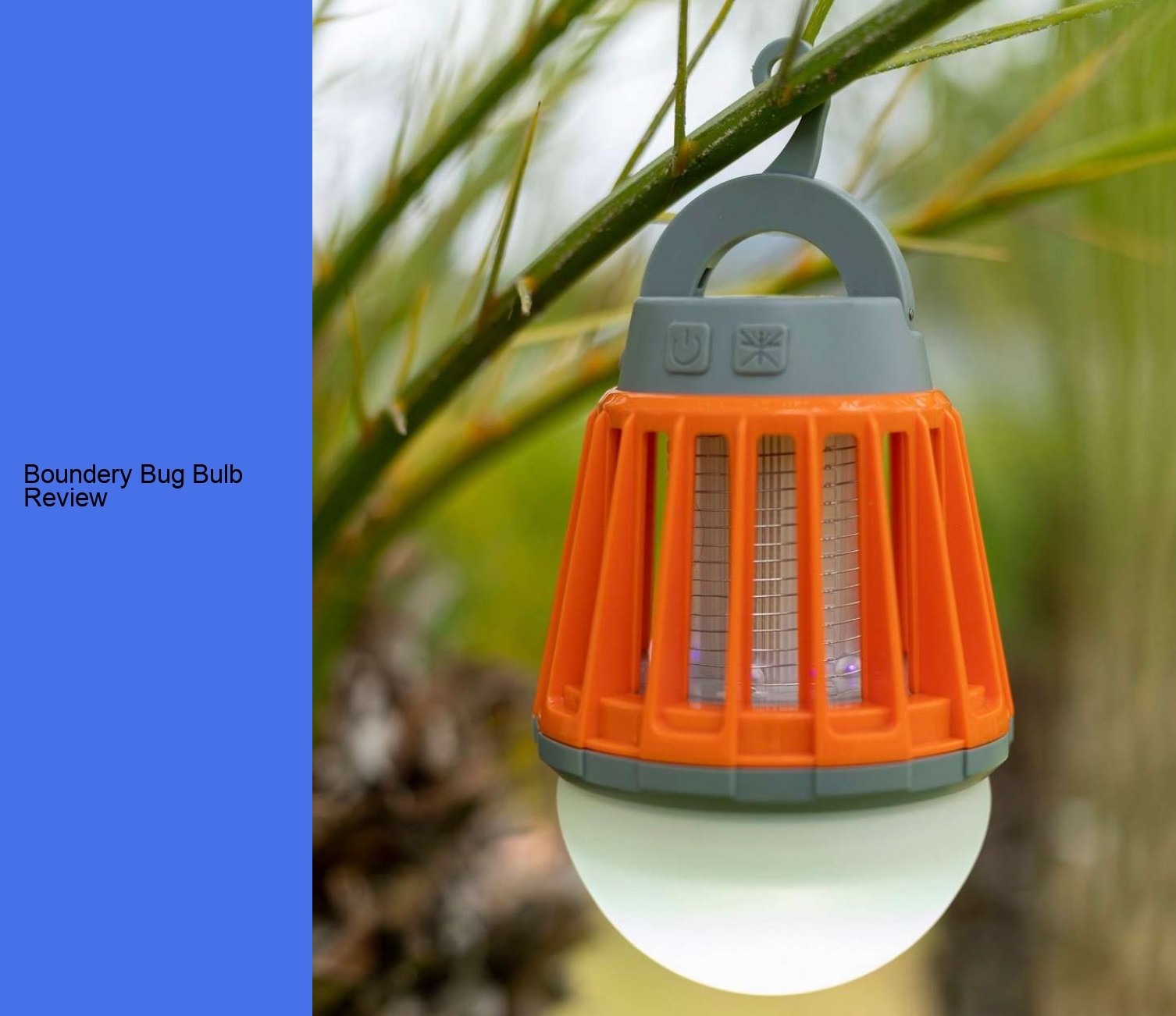 Boundery Bug Bulb Review