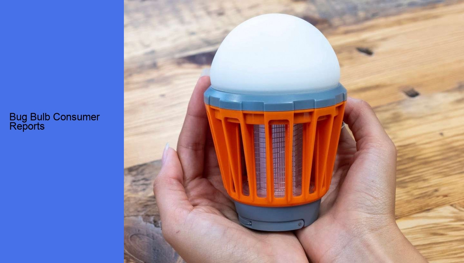 Bug Bulb Consumer Reports