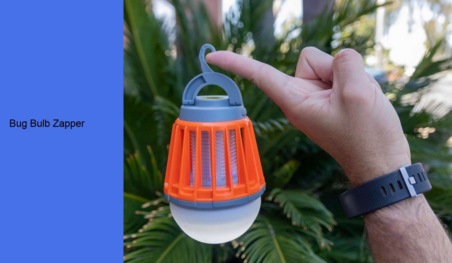 Bug Bulb Zapper