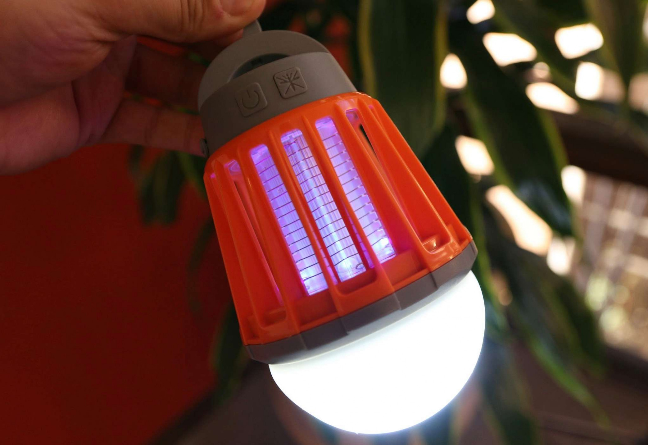 Discounted Bug Bulb