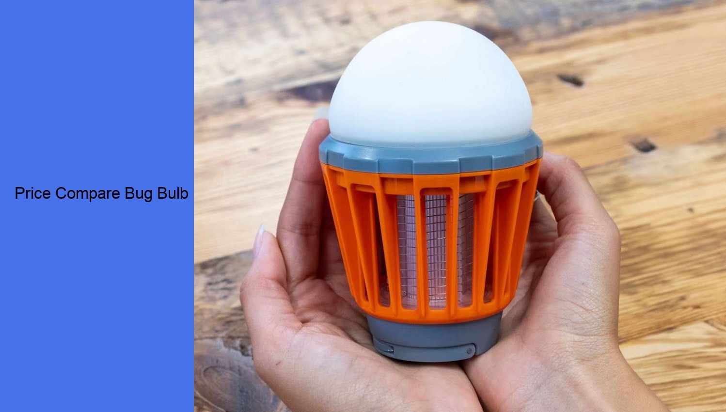 Price Compare Bug Bulb